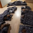 전포유치원 네이버블로그