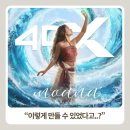 누이노래 | 모아나 영화 후기 : 내돈내산 솔직 후기 및 관련 정보, 특전 총정리 (ft. 쿠키 없음)