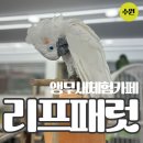 경기도 수원시 권선구 덕영대로1201번길 22 이미지