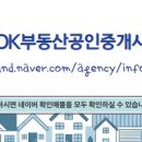 더스마일공인중개사사무소 네이버블로그