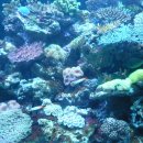 부안초등학교 이미지