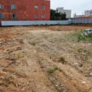 천주교평택교회 이미지