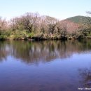 송천목장 이미지