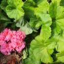 앙드레농장 이미지