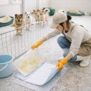 기부 브랜드 입힘 숨표 한국유기동물보호협회 보호소 봉사 다녀온 후기