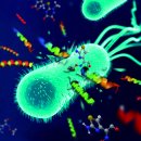 원천슈퍼 이미지