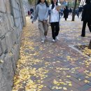 장자대로 이미지