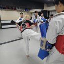 고려 성동 태권도 | 성인 태권도 끝판왕!! - 금강 태권도성인반 체험 가격 리뷰 와 후기 추천