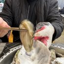 통영굴 조개구이 | 광주 용봉동 맛집 대천조개구이 통영 삼배체굴 찜 먹은 후기