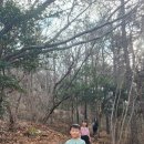 마복산농장 | 전남 고흥 마복산 산행 후기, 고흥 기암 절경, 최단코스 총정리(23.12)