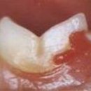 해옴동물병원 이미지