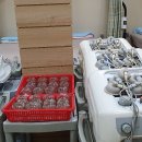 원평 부부한의원 이미지