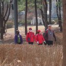 여의숲