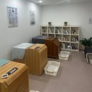 민생한의원 | [쌍문역한의원] 민생회복쿠폰 사용 가능한 한의원, 척추측만증 소유자의 추나치료 후기