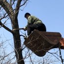 월산1리 이미지