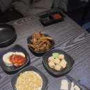 광주 굴,가리비 무한리필 바다언니야 내돈내산 후기