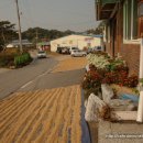 도곡1리마을회관 이미지