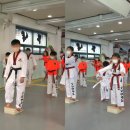 보라매태권도 이미지