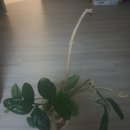 숙이목장 이미지