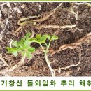 죽본농장 네이버블로그