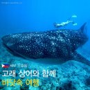 오슬롭