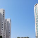 풀리페아파트 이미지