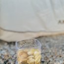 몽산포패밀리데이캠핑장 이미지