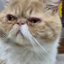 하트만 동물병원 이미지