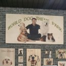 강아지 테마파크 이미지