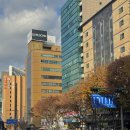 오케이나라한의원 | 신사역 피부과 미라젯 고우리부스터 후기 승무원 다운타임 적은 시술 추천