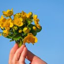 양주우체국 이미지