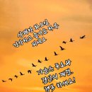 만사 유시 이미지