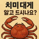 수산물직판장(17호) | 치미 대게, 알고 드시나요? 치수미달 어린대게의 진실
