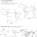 데생&드로잉 주간 이미지