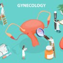 예다여성의원 이미지