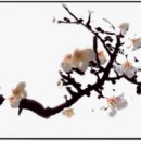 황진이노래 - 정읍시 수성로 48 | 황진이노래