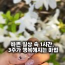 앙큼안네일