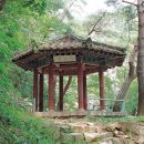 괴산1길 이미지