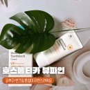 피부과 썬크림 호스메티카 뷰파인 톤업 후기