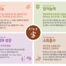 상하그린목장 이미지