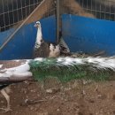 광주조류원 이미지