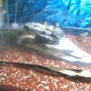 광원수족관 이미지