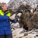 the H motors 이미지