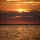 옹진군 해넘이 및 제야의 밤(예정) | 다사다난했던 기해년을 보내고 새로운 경자년을 맞이하기 위한 '옹진군 해넘이 및 제야의 밤' 행사가 개최