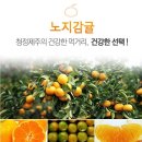 서귀포감귤