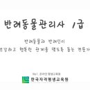 반려견,반려묘를 위한 반려동물관리사 이미지