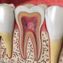 엔젤치과의원 이미지