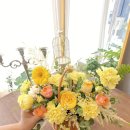 사파동318 이미지