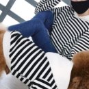 도그앤스테이 이미지