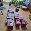 천회농장 | 김장 2025 친정에서 3박4일 김장하며 보낸 일상